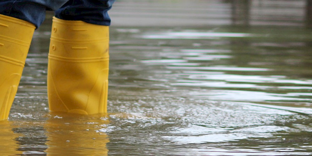 ESRS E3 beschäftigt sich mit der nachhaltigen Nutzung und dem Schutz von Wasser- und Meeresressourcen durch Unternehmen