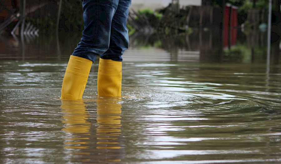 ESRS E3 beschäftigt sich mit der nachhaltigen Nutzung und dem Schutz von Wasser- und Meeresressourcen durch Unternehmen