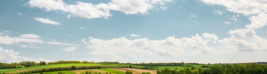 Ein Landschaftspanorama mehrerer Felder